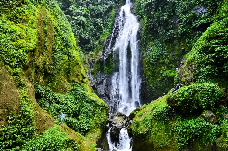 Jambi