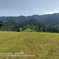 那拉提國家森林公園用戶圖片