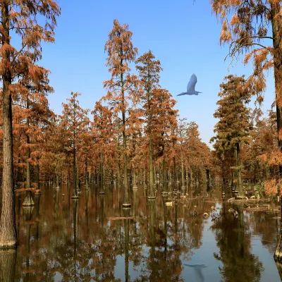 Bo Shi Hotel (Wuhan International Expo Center North Subway Station)
