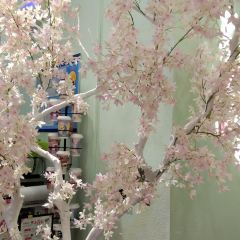 霓裳茶舞(郴州步步高新天地店七楼店) User Photo