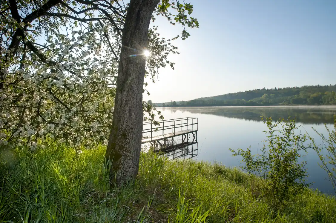 Hotels near Lviv