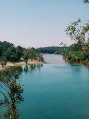 Yong’an Lake Urban Forest Park