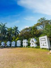 Dafu Mountain Forest Park