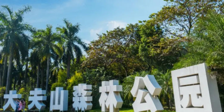 大夫山森林公園