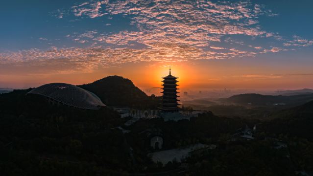 南京一日遊【包車遊】景點可自選調整【8小時/100公里】