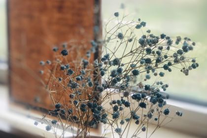 格子咖啡馆(永昌店)