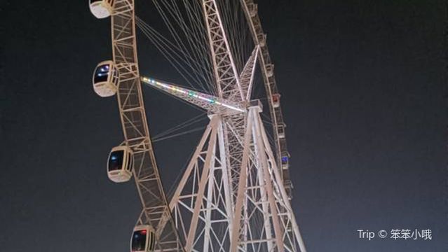 tai sheng lou ding mo tian lun