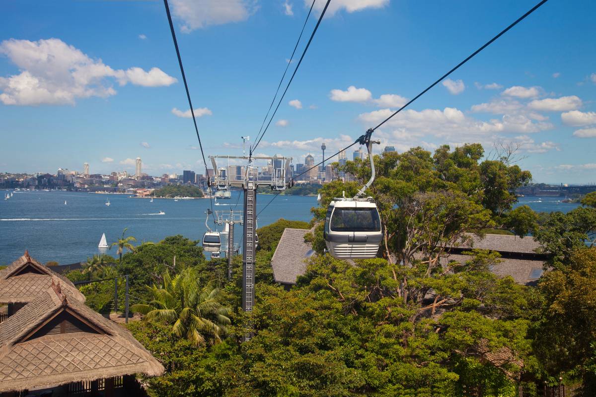 What animals are at Taronga zoo?