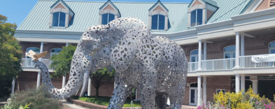 Virginia Zoo