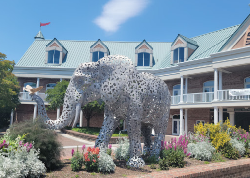 Virginia Zoo