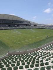 Estadio de Fútbol El Kraken