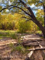 Hilgard Junction State Park