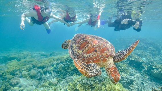 CairnsTours