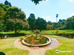 Harare Gardens