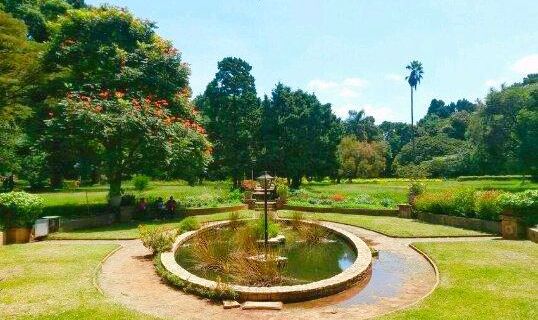 Harare Gardens
