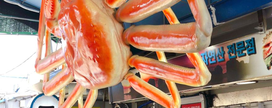 Masan Fish Market