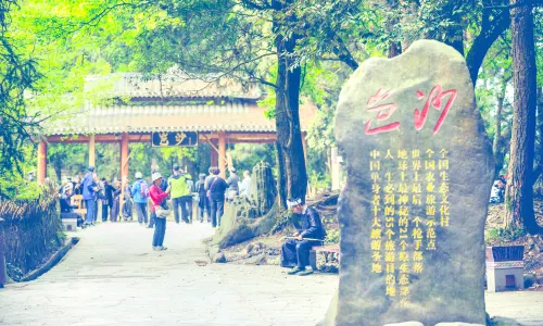 Basha Miao Village