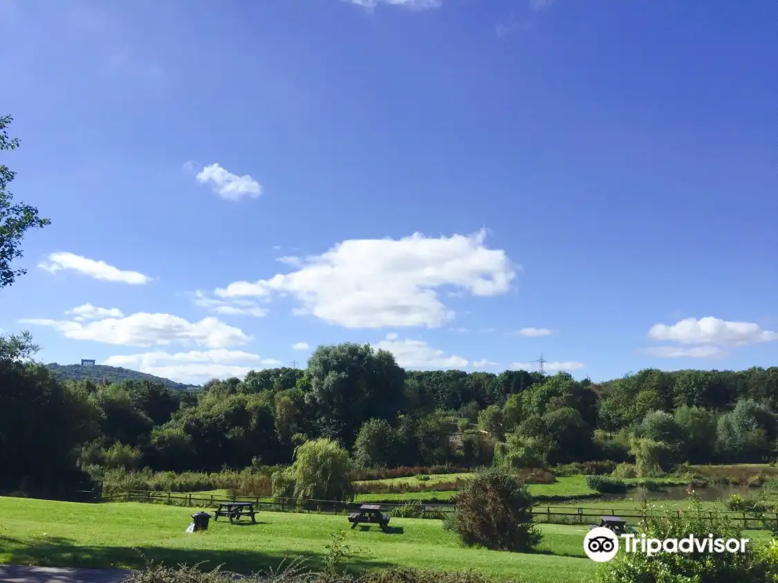 Các khách sạn gần WWT Washington Wetland Centre
