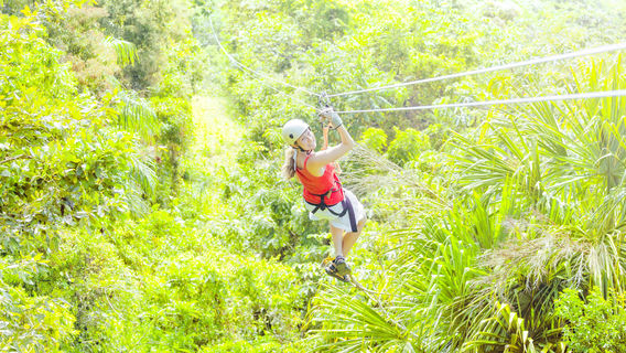 Flight of the Gibbon