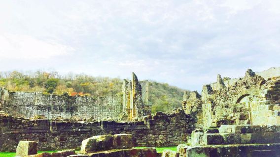 Abbazia di Rievaulx