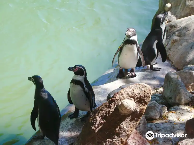 Hotels near National Zoo