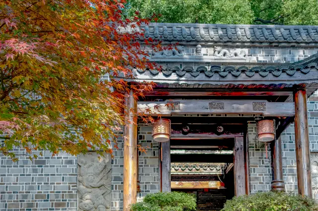 Maple Leaf Viewing in Changsha