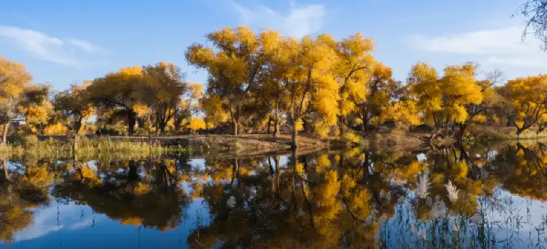 Hoteles en Condado de Maralbexi