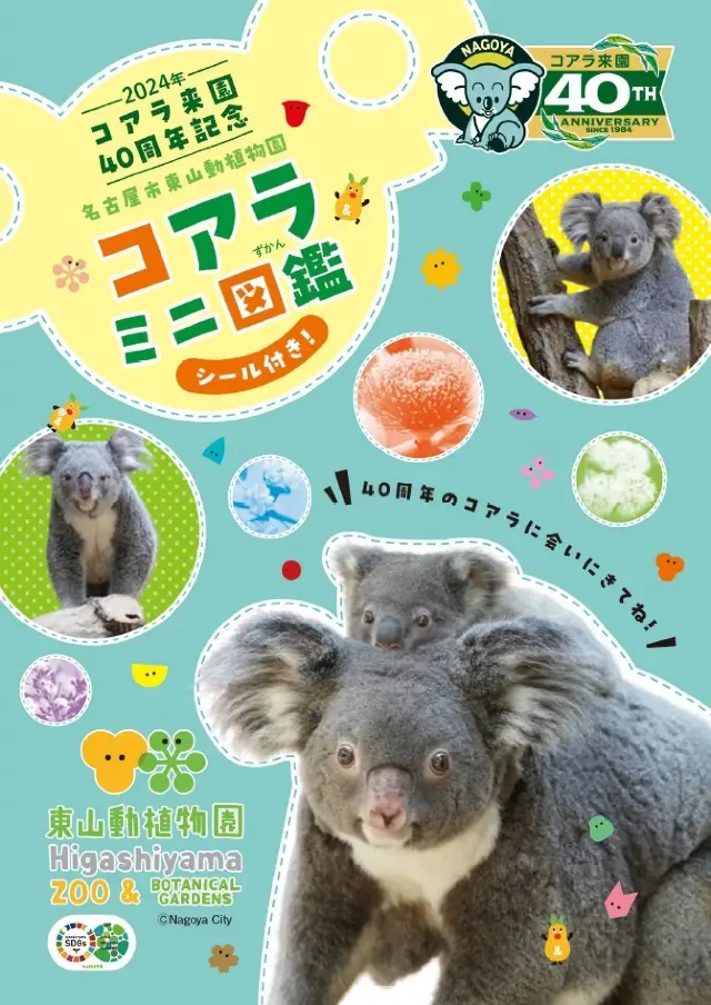 【日本名古屋】《考拉繁殖的歷史和即將到來的滅絕危險》考拉 40 週年特別展 | 東山植物動物園