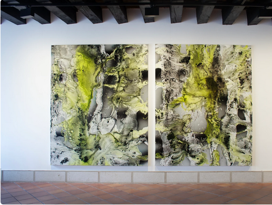 Márta Kucsora: Less Orderly Ways | Venice