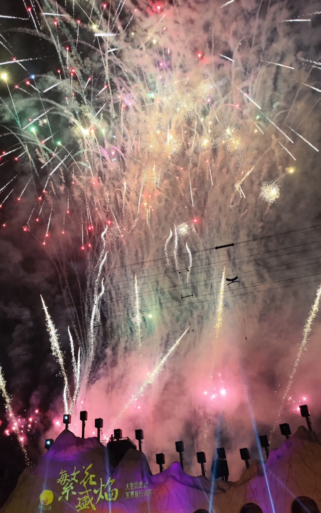 wu han hua bo hui hua huo fu gui nian | Wuhan