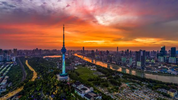 Башня Жёлтого Журавля + Мост через реку Янцзы + Храм Гуйюань + Терраса Гуцинь + Гора Гуйшань (гид/ гид/переводчик)