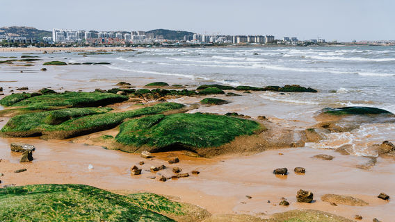 Taigong Island Oyster Park
