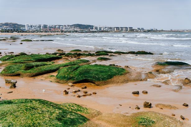 Taigong Island Oyster Park