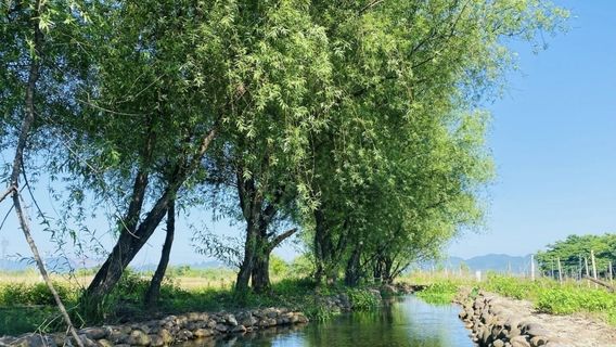 liu zhou shi hua hai wan hua hui guan guang ji di