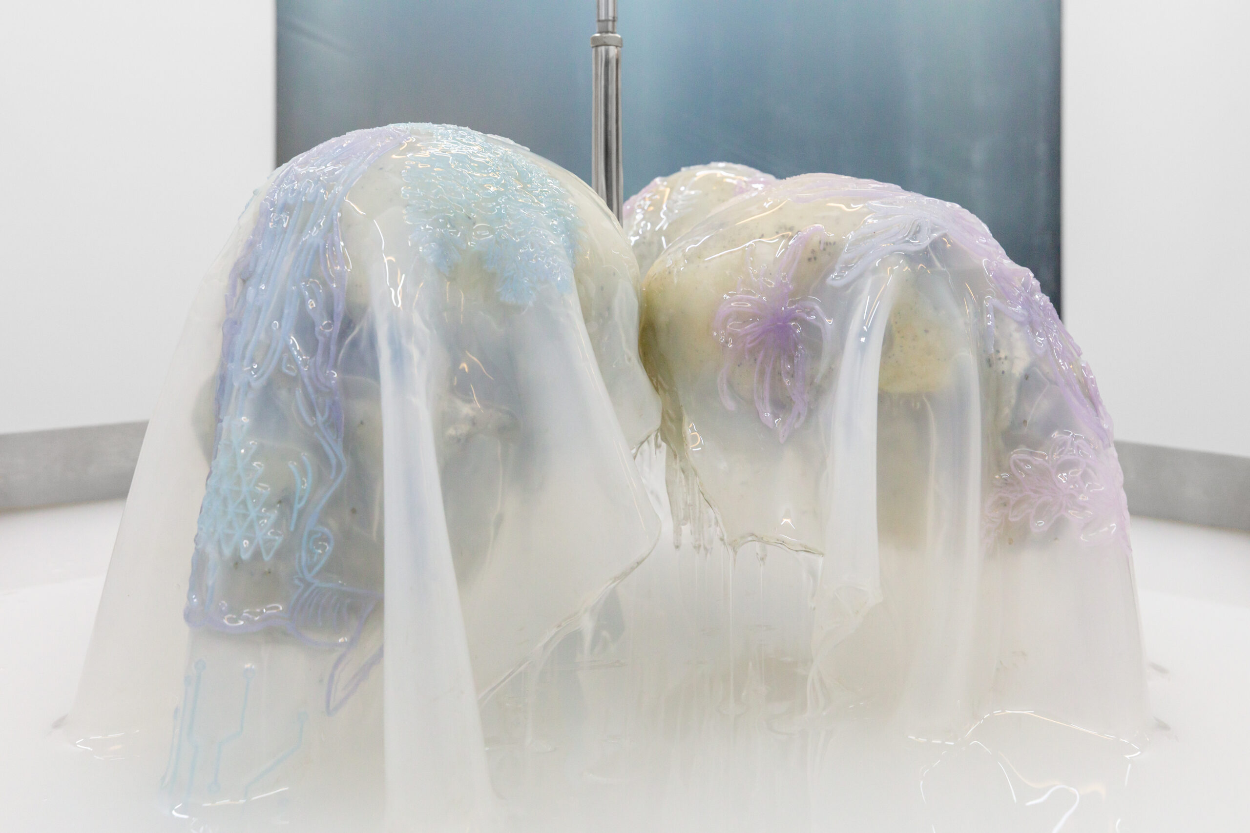 第38屆巴西藝術全景展《千度》 | 聖保羅現代藝術博物館