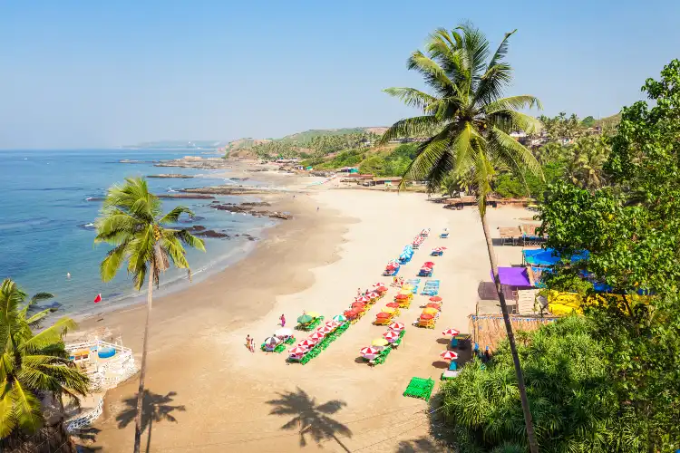 Hotels in Baga