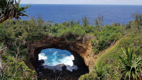 Haveluliku