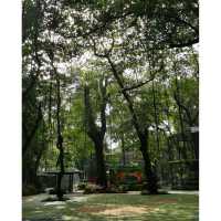 Surabaya's Zoo