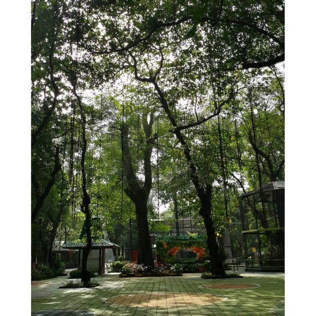 Surabaya's Zoo