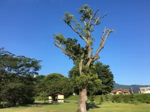 Dogo Park (Ruins of Yuzuki Catsle)