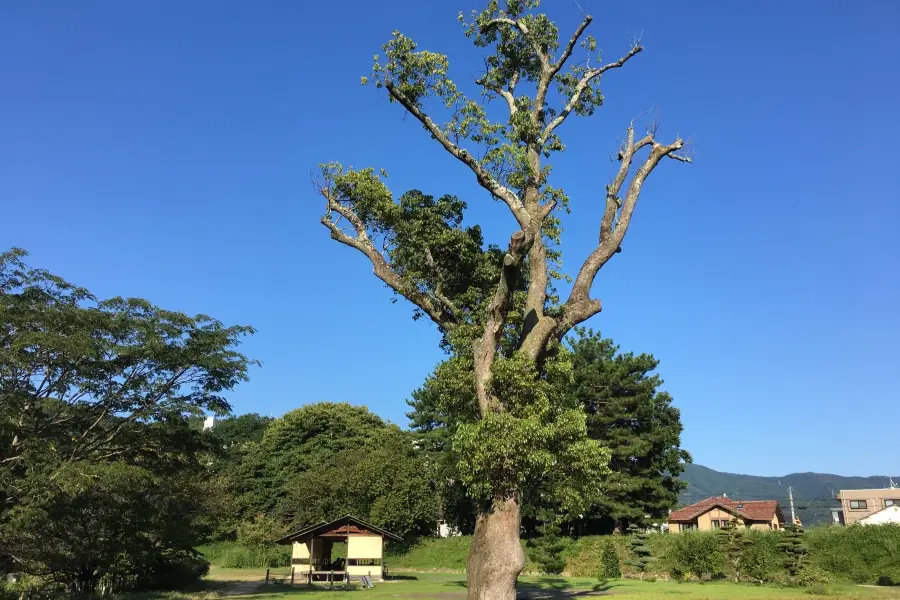 Dogo Park (Ruins of Yuzuki Catsle)