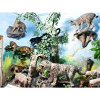 Rahmat Wildlife Museum