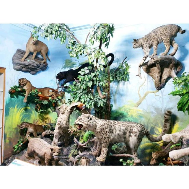 Rahmat Wildlife Museum