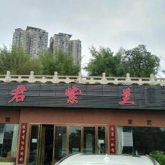 君紫兰 User Photo