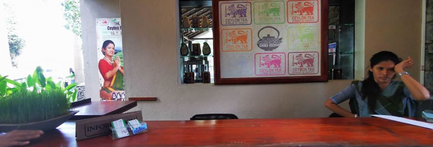 Tropical Village Hotel & Restaurant