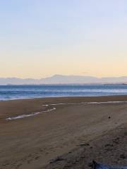 Torrent Bay in Abel Tasman National Park