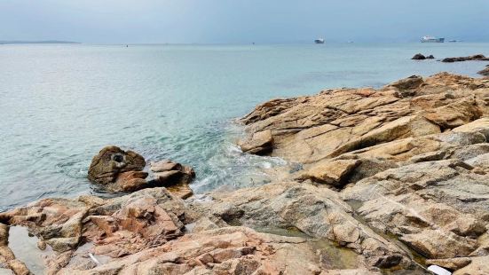 【[呲牙][呲牙][呲牙]】freaking cold al