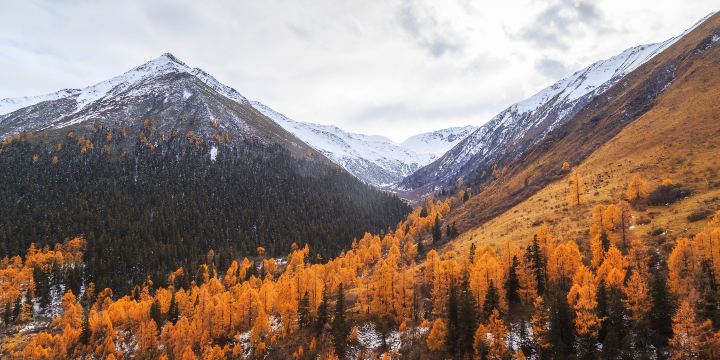 Naizigou Scenic Area