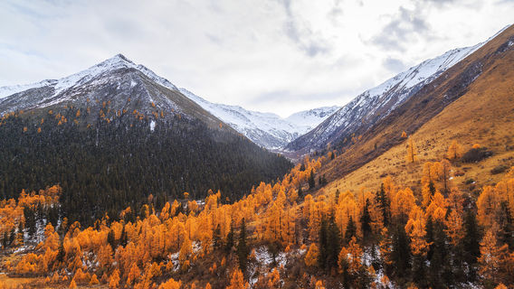 Naizigou Scenic Area