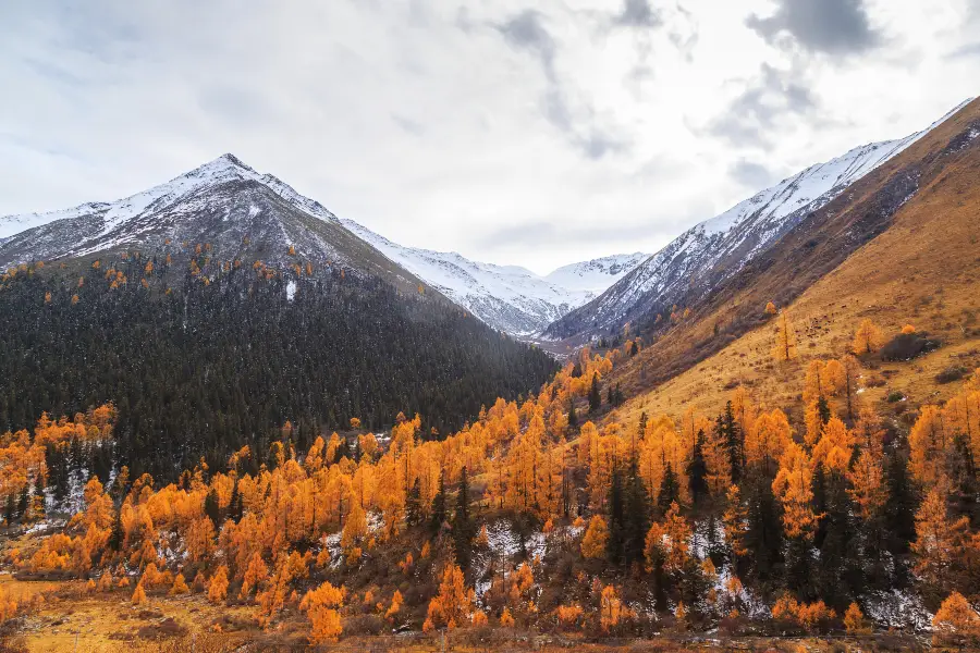 Naizigou Scenic Area